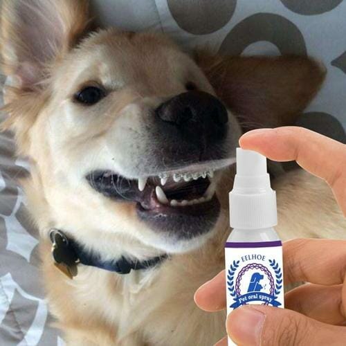 Spray Eliminador de Tártaro Pet,spray para remover tartaro canino - Stony Shop