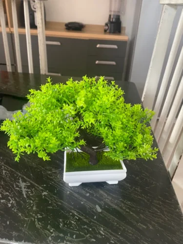 Bonsai Artificial Arvore com Flores em Seda photo review